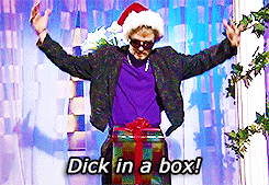 dick snl in box