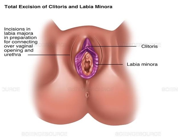 first groan clitoris nipple orgasm