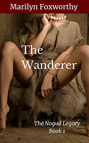 stories dark wanderer author erotic