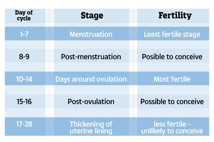 time perfect for ovulation sex