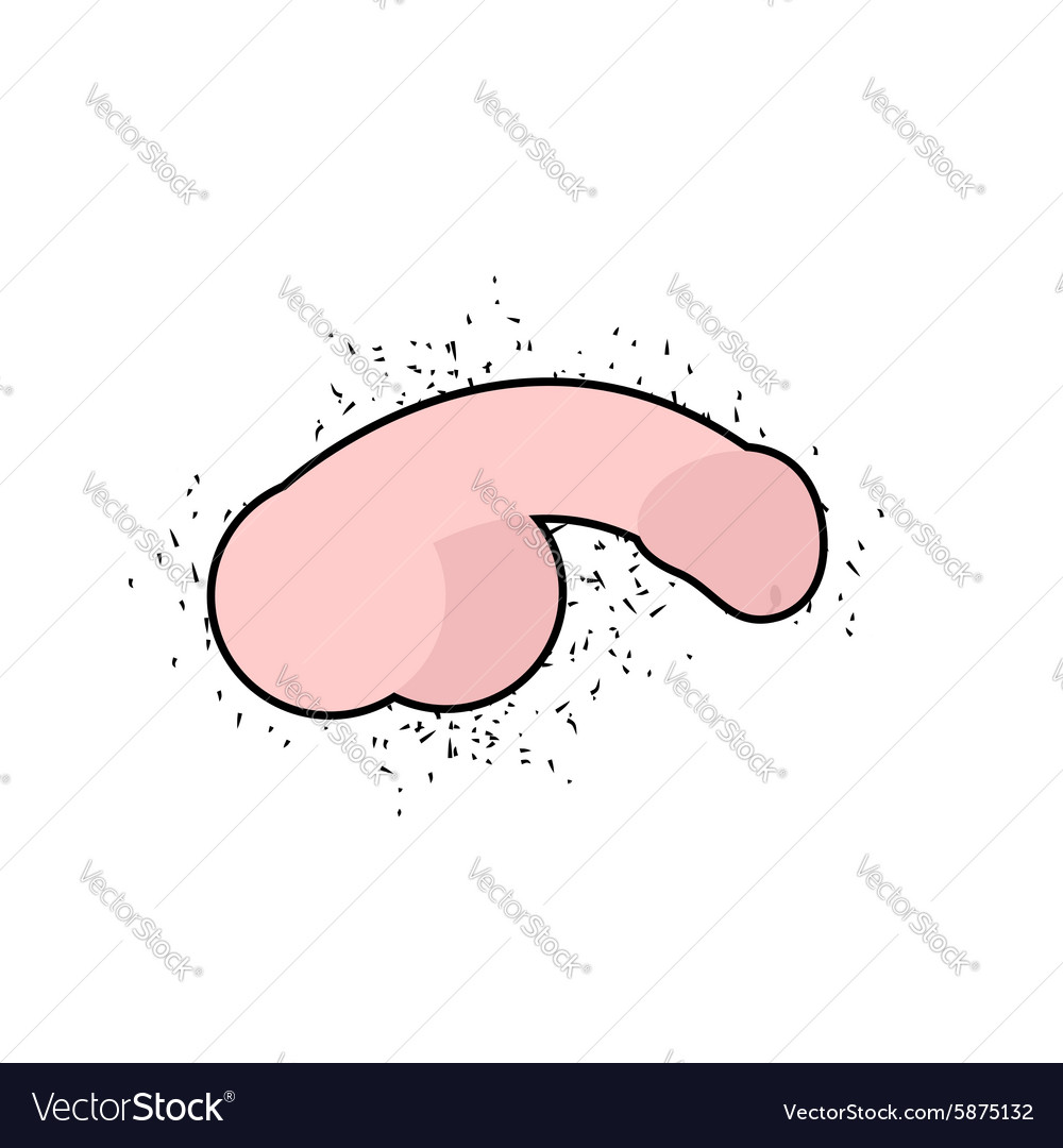 the illustrator penis