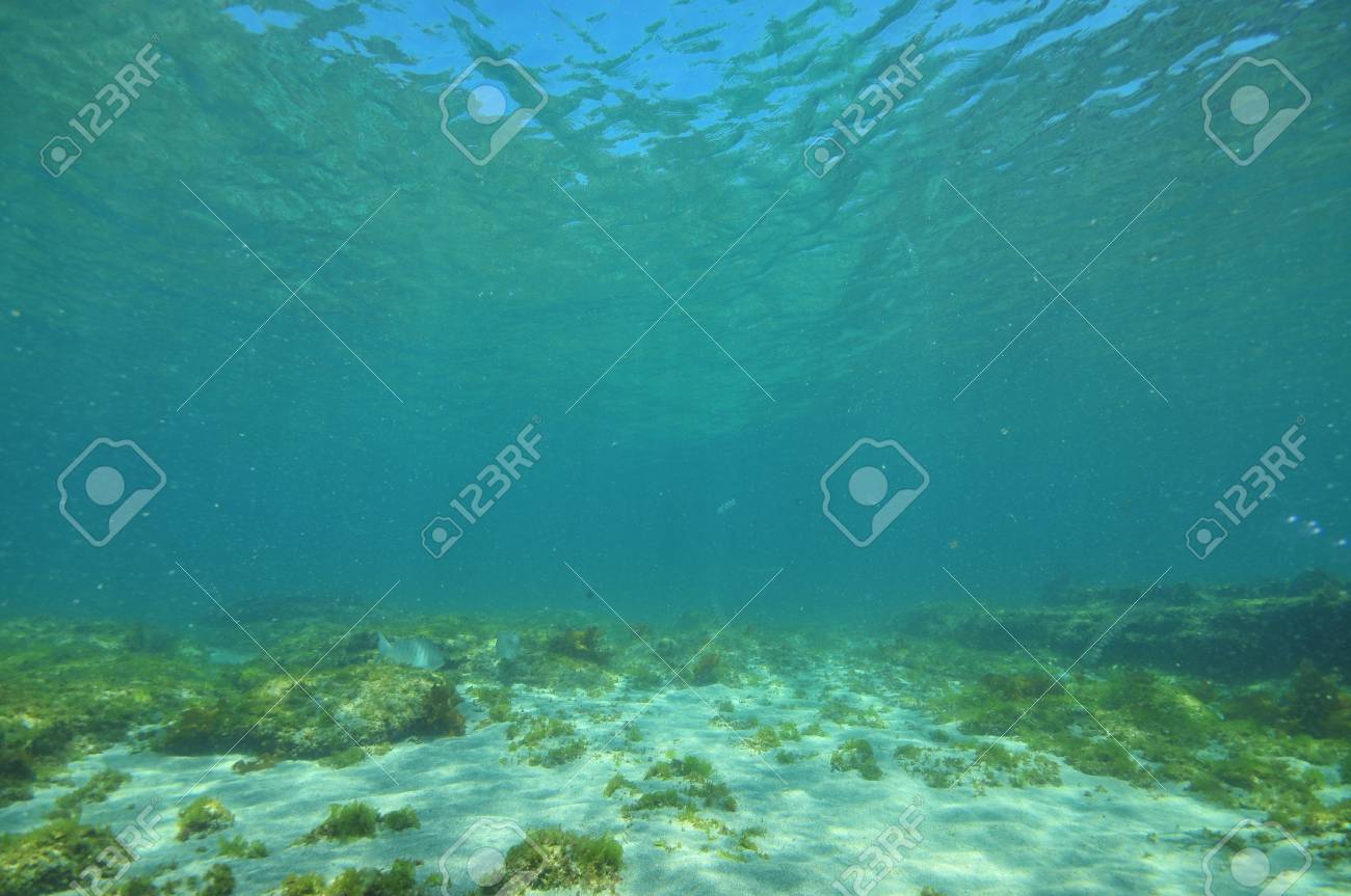 ocean bottom flat