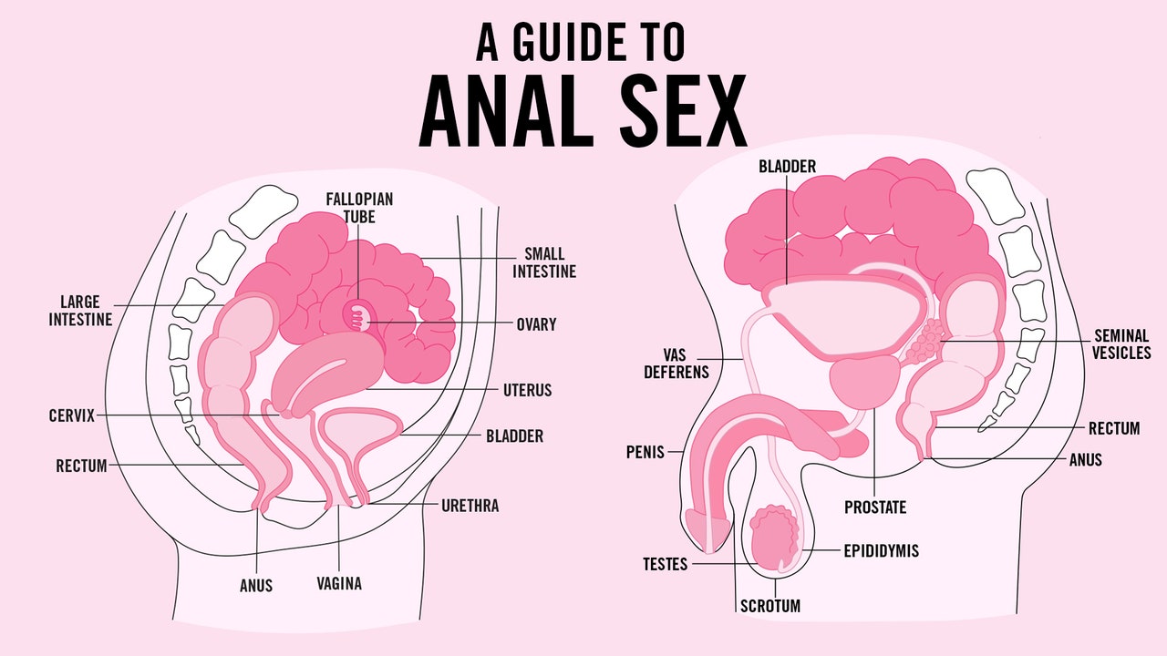 learn anal sex