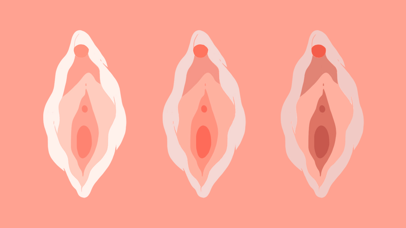 wet vulva juicy stimulation and
