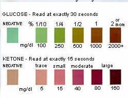strips urine ketone test glucose