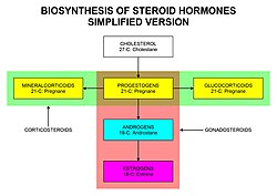 sex hyper make to how hormone