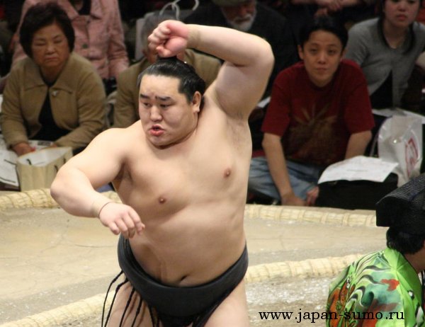 japan sumo ru