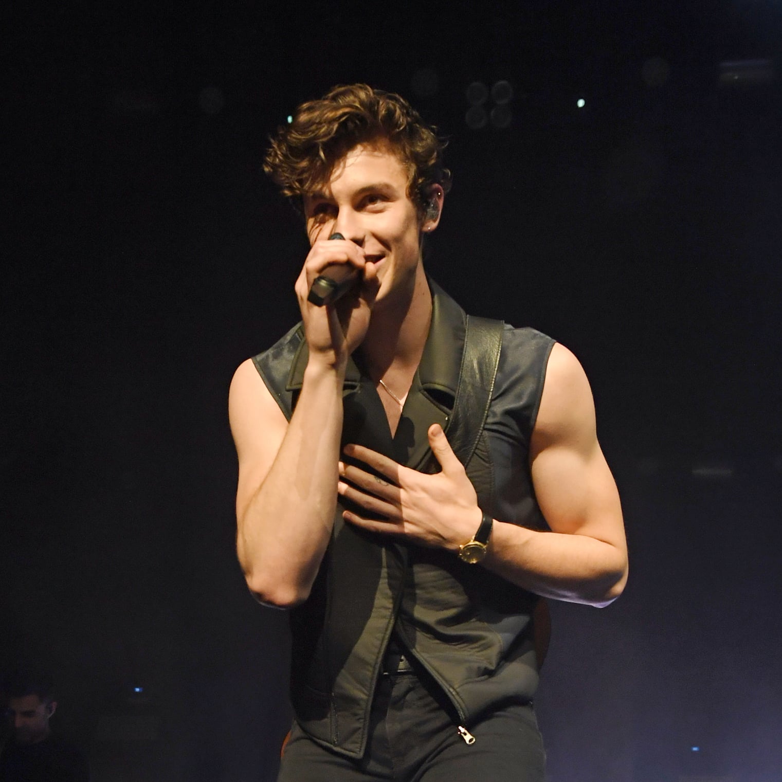 mendes sexy shawn