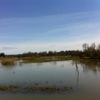 jackson bottom wetland
